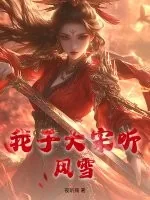 《我于大宋听风雪》小说封面