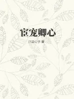 《宦宠卿心》小说封面
