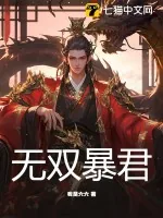 《无双暴君》小说封面