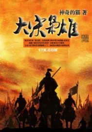 《大宋枭雄》小说封面