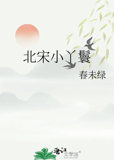 《北宋小丫鬟》小说封面