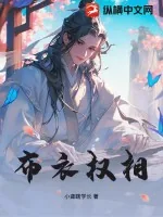 《布衣权相》小说封面