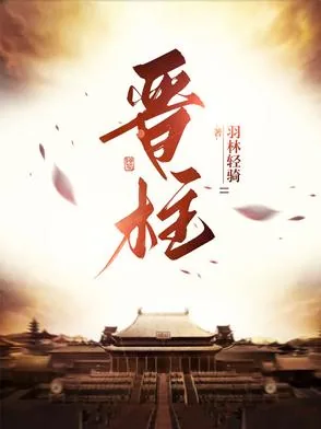 《晋柱》小说封面