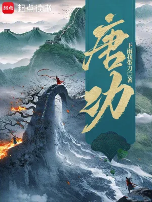 《唐功》小说封面