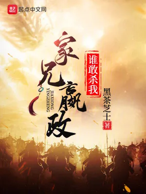 《家兄嬴政，谁敢杀我？》小说封面
