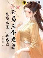 《开局三个老婆，先当土皇，再当君》小说封面