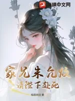 《家兄朱允炆，请陛下赴死！》小说封面