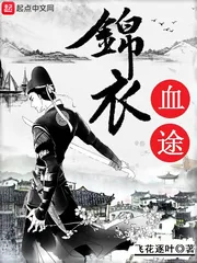 《锦衣血途》小说封面
