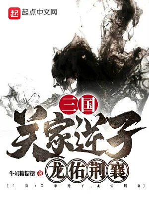《三国：关家逆子，龙佑荆襄》小说封面