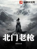 《北门老枪》小说封面