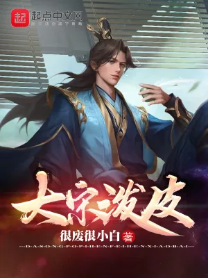 《大宋泼皮》小说封面