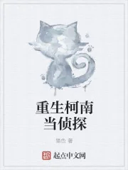 《重生柯南当侦探》小说封面