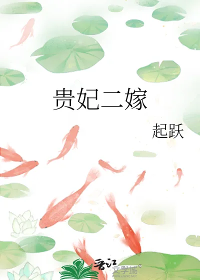 《贵妃二嫁》小说封面