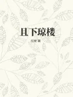 《且下琼楼》小说封面