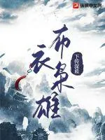 《布衣枭雄》小说封面