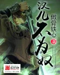 《汉儿不为奴》小说封面