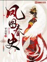 《凤图春史》小说封面