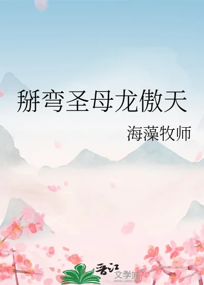 《掰弯圣母龙傲天》小说封面