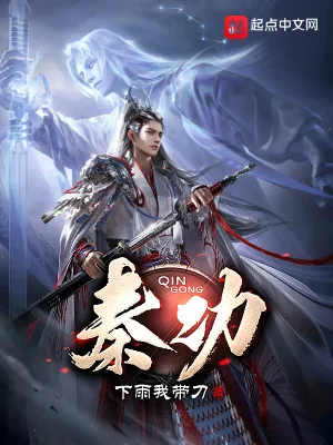 《秦功》小说封面