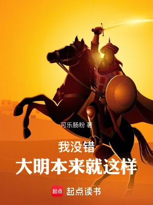 《我没错，大明本来就这样！》小说封面