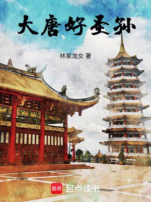 《大唐好圣孙！》小说封面