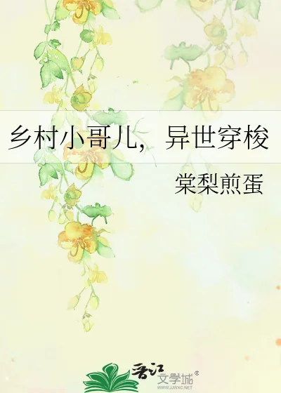 《乡村小哥儿，异世穿梭》小说封面