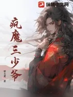 《疯魔三少爷》小说封面