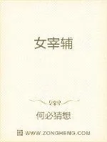 《女宰辅》小说封面