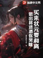 《买来状元要和离，做出将进酒你哭啥》小说封面