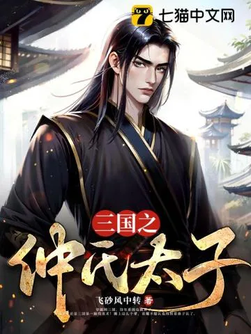《三国之仲氏太子》小说封面