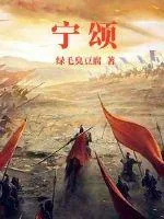 《宁颂》小说封面
