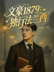 《文豪1879：独行法兰西》小说封面