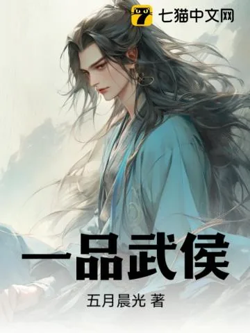 《一品武侯》小说封面