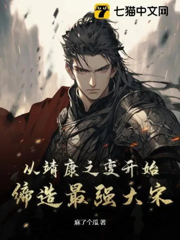 《从靖康之变开始，缔造最强大宋》小说封面
