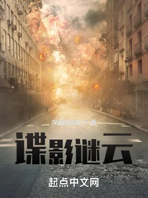 《谍影谜云》小说封面