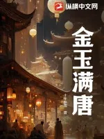 《金玉满唐》小说封面