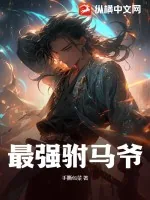 《最强驸马爷》小说封面