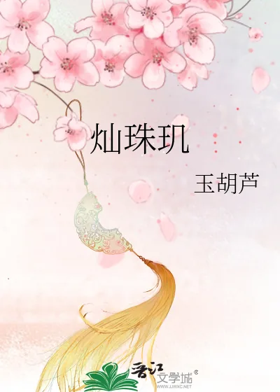 《灿珠玑》小说封面