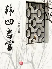 《韩四当官》小说封面