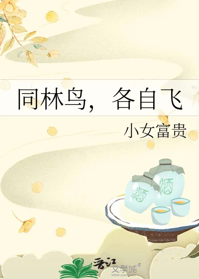 《同林鸟，各自飞》小说封面
