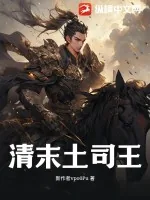 《清末土司王》小说封面