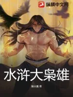《水浒大枭雄》小说封面