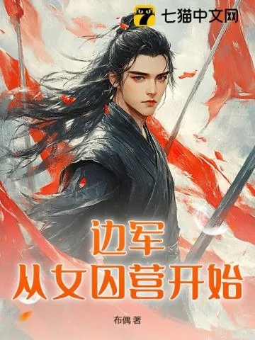 《边塞枭龙》小说封面