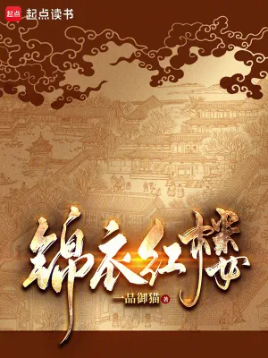 《锦衣红楼》小说封面