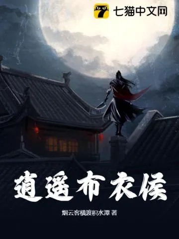 《逍遥布衣侯》小说封面