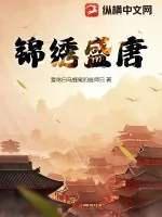 《锦绣盛唐》小说封面