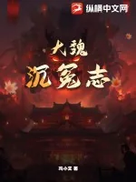 《大魏沉冤志》小说封面