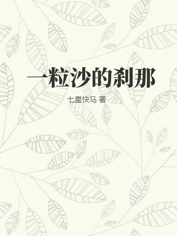 《一粒沙的刹那》小说封面