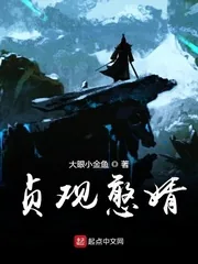 《贞观极品小女婿》小说封面