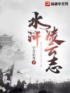 《水浒凌云志》小说封面